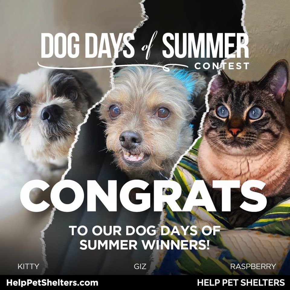 And the Winners Are…. - Help Pet Shelters